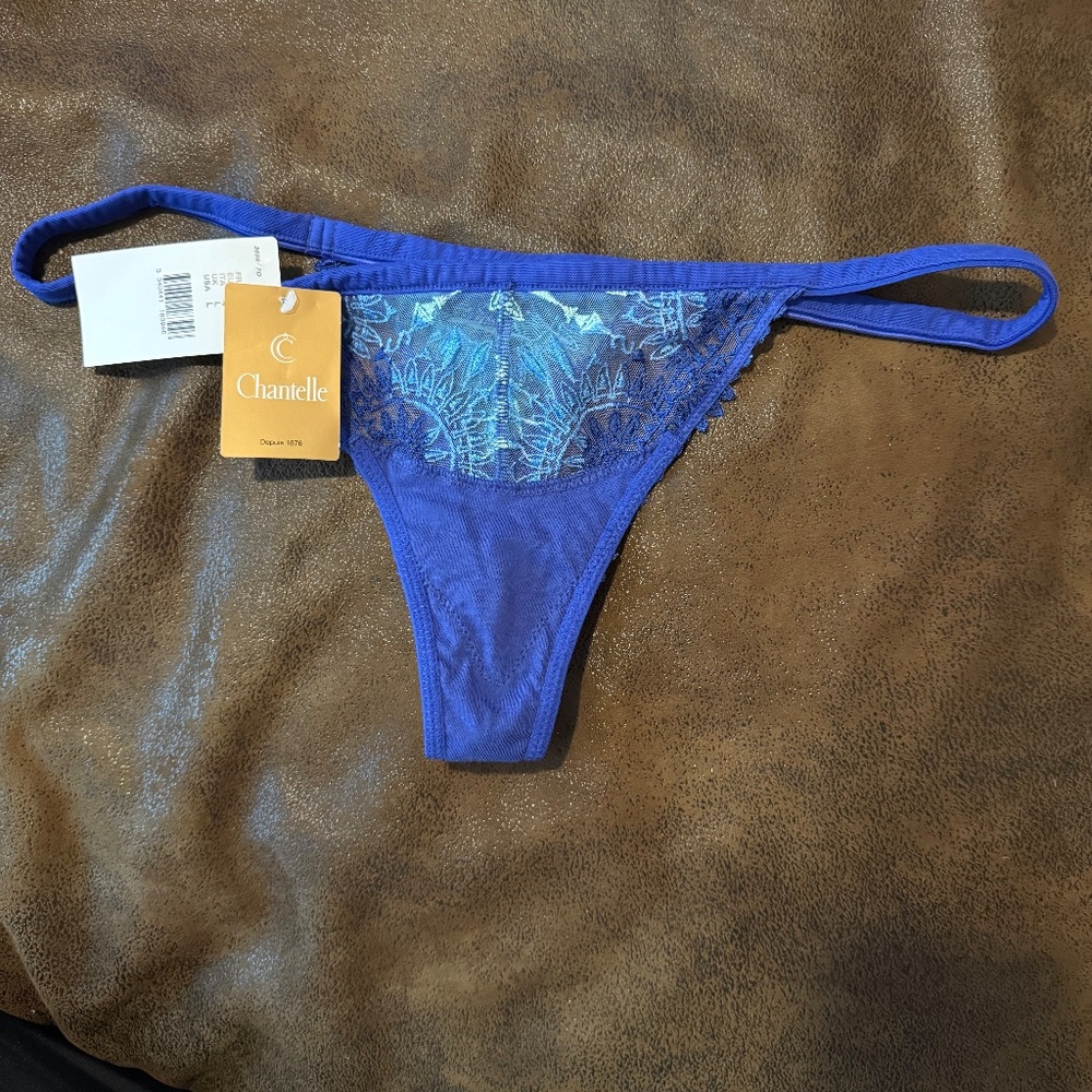 Chantelle Africa Sheer Thong #3699 L NWT